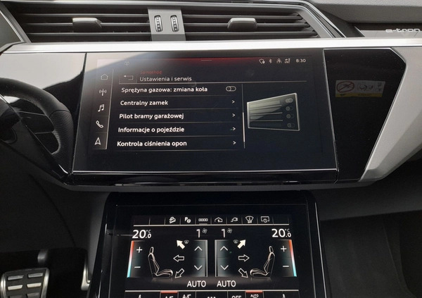 Audi e-tron cena 299900 przebieg: 8135, rok produkcji 2023 z Nisko małe 781